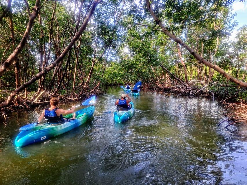 Guided kayak tour through Florida estuary waters where independent local guides offer wildlife experiences in small coastal communities.