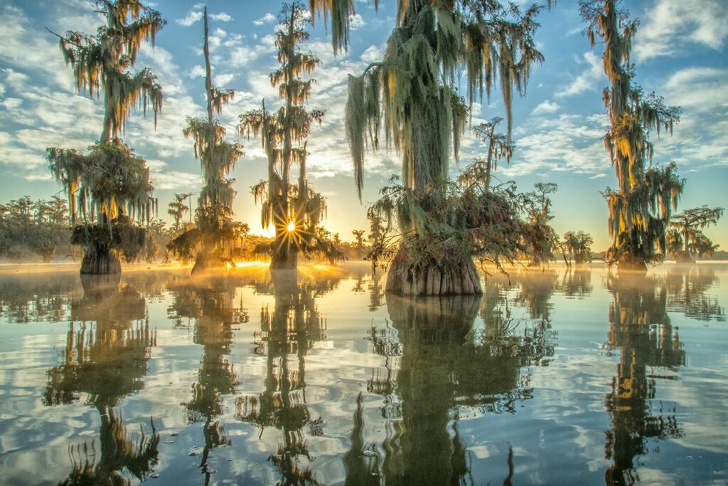 Aerial view of Louisiana bayous and wetlands near New Orleans at sunrise.
