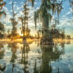 Aerial view of Louisiana bayous and wetlands near New Orleans at sunrise.