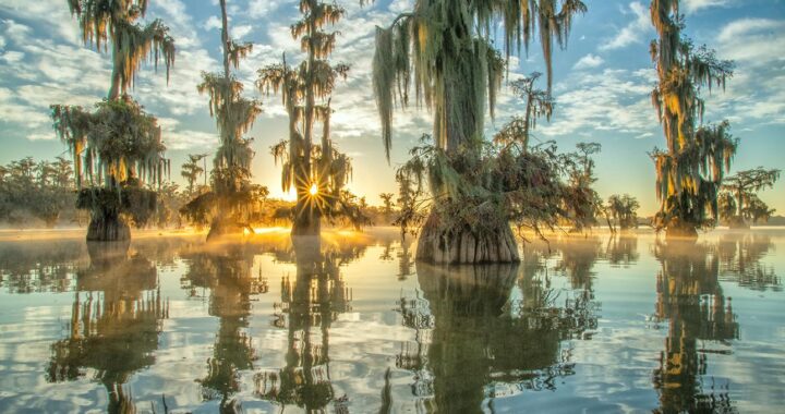 Aerial view of Louisiana bayous and wetlands near New Orleans at sunrise.