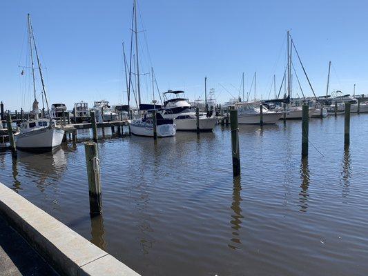 The everyday marinas and coastal communities that power America's water economy.