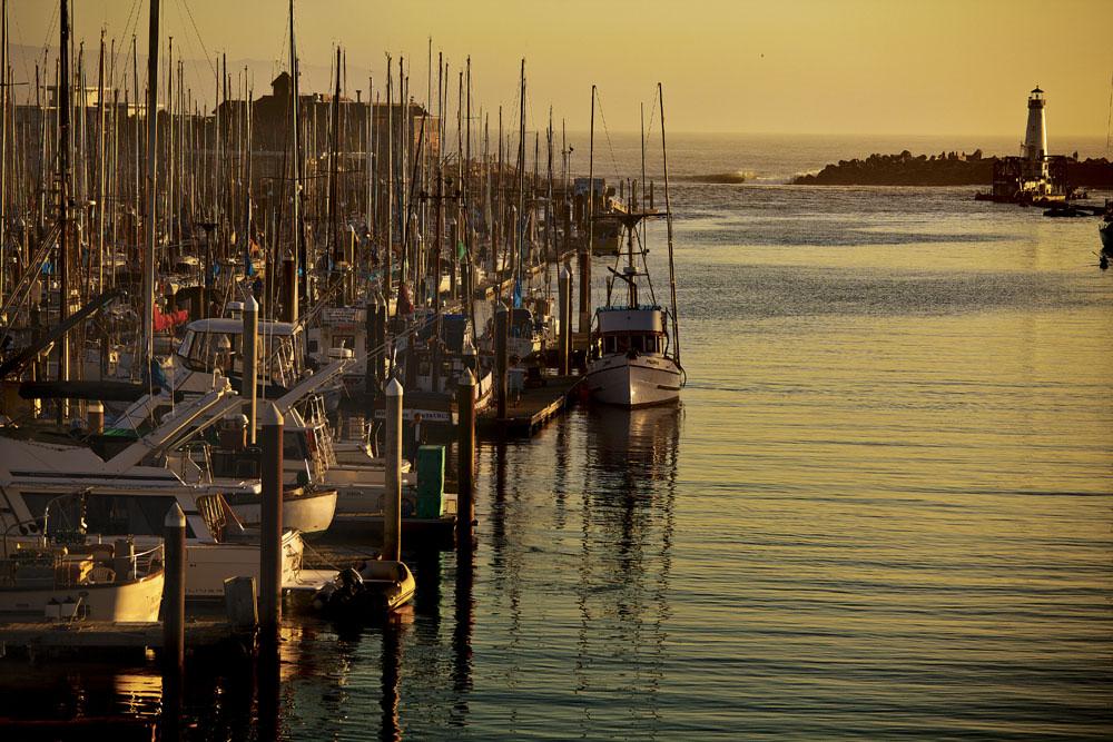 Fishing charter boats departing Santa Cruz Harbor for half-day and full-day trips in Monterey Bay, a popular weekend escape from Silicon Valley.