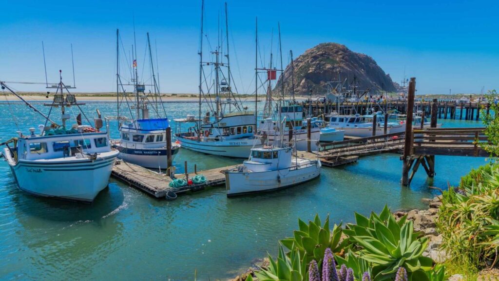 Boats moored in a California coastal marina before sunset.