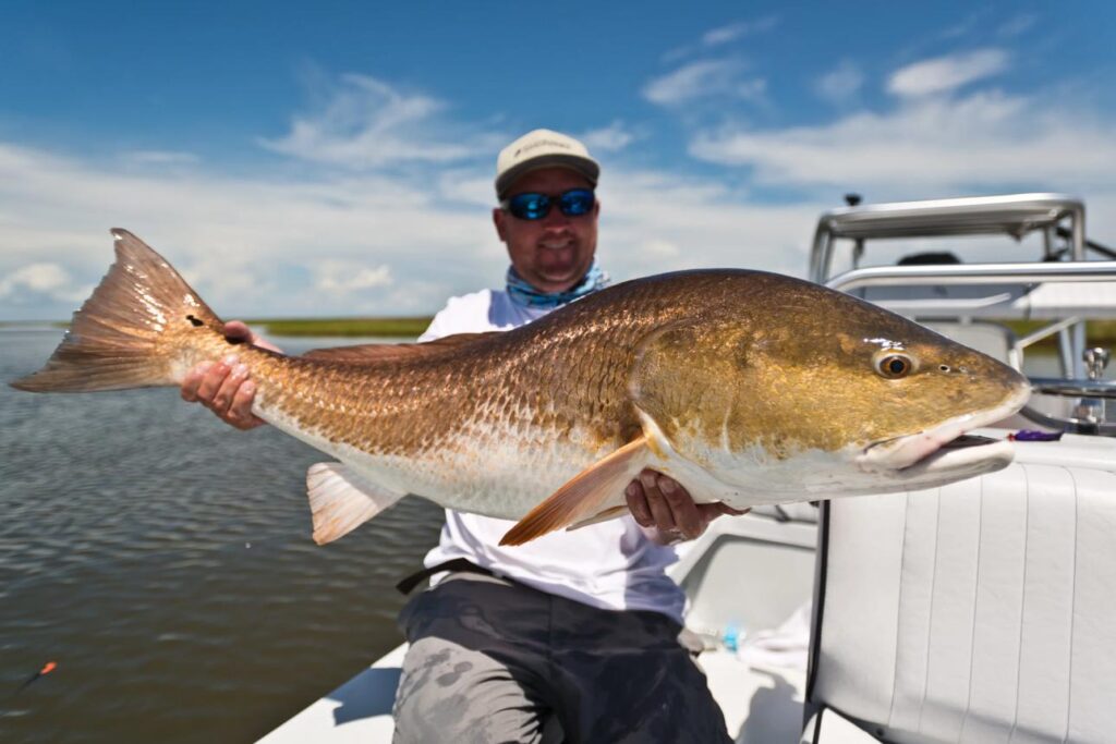 Angler holding a redfish caught during a guided fishing trip in Louisiana.