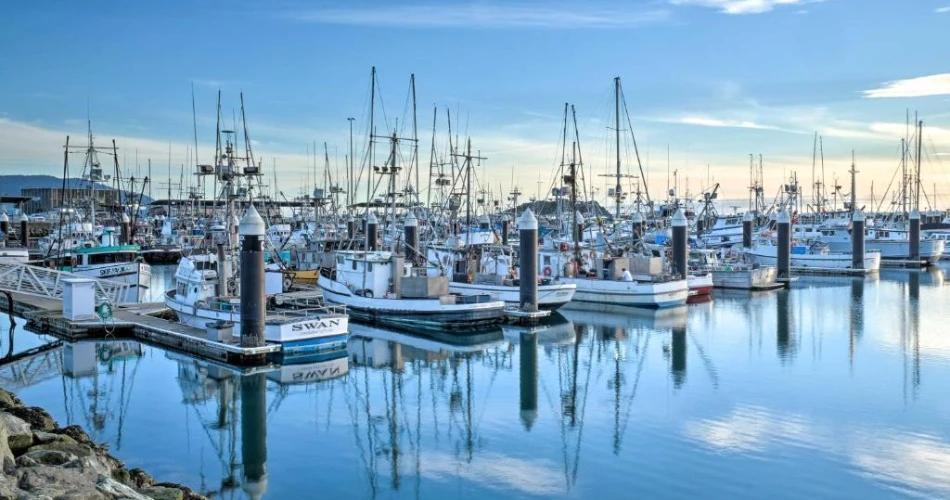 Fishing boats at Crescent City Harbor before sunrise, where experienced local captains operate far from California's crowded coastal tourism hubs.