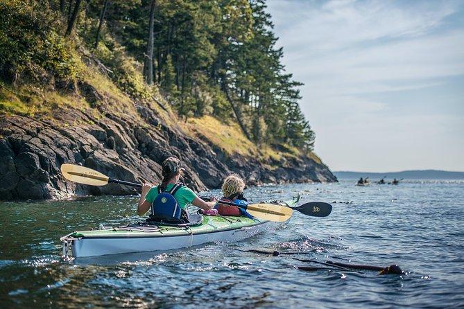 Guided sea kayaking along the rocky shoreline of the San Juan Islands.