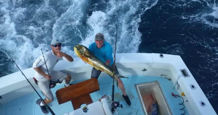 An offshore sportfishing boat pursuing pelagic fish in the Florida Keys.