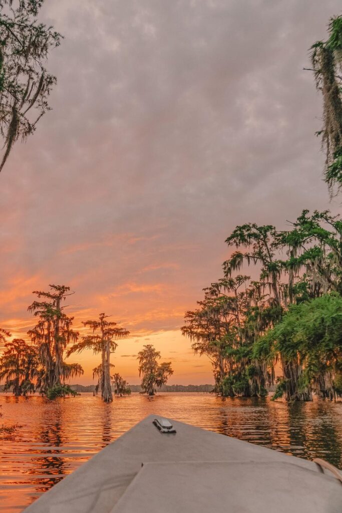 Sunset boat ride through a peaceful Louisiana bayou surrounded by cypress wetlands.
