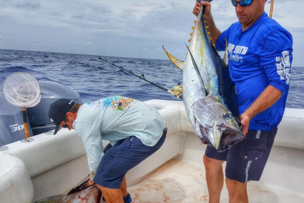 Popular game fish pursued on Florida Keys fishing charters.