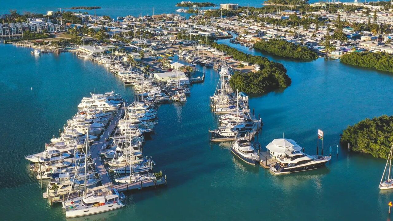 Aerial view of a busy American marina filled with recreational boats.