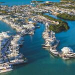 Aerial view of a busy American marina filled with recreational boats.