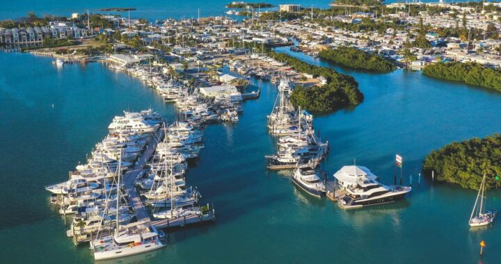 Aerial view of a busy American marina filled with recreational boats.